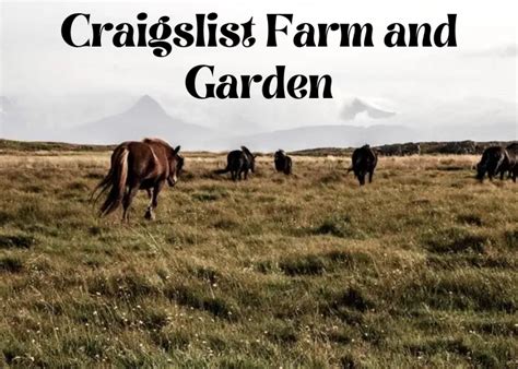 see also. . Brownsville craigslist farm and garden